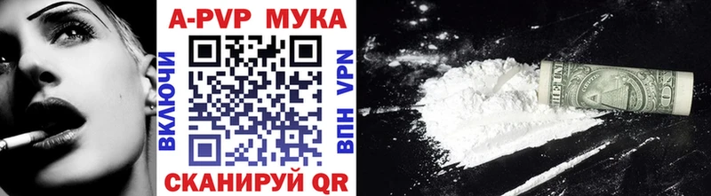 KRAKEN ТОР  Гай  А ПВП СК КРИС 
