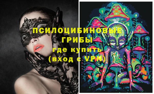 мдпв Балахна