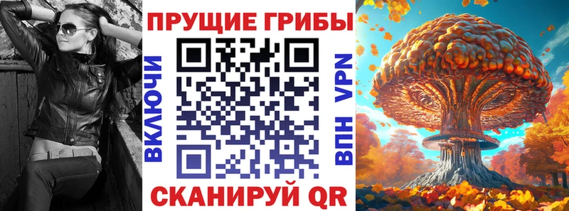 Псилоцибиновые грибы Psilocybe  Гай 