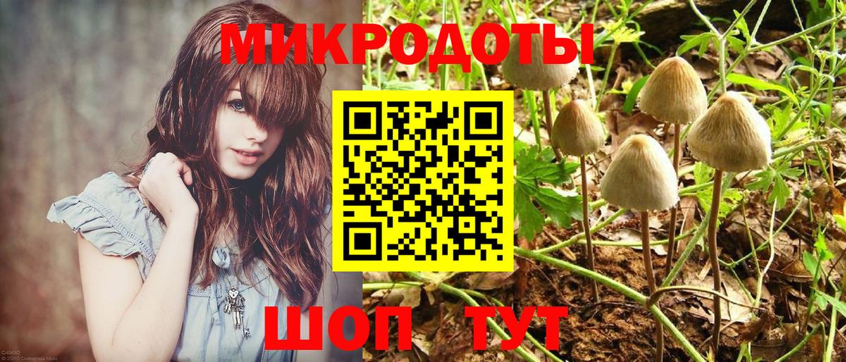 Галлюциногенные грибы Magic Shrooms  Вход с VPN  Галлюциногенные грибы Magic Shrooms  Гай 