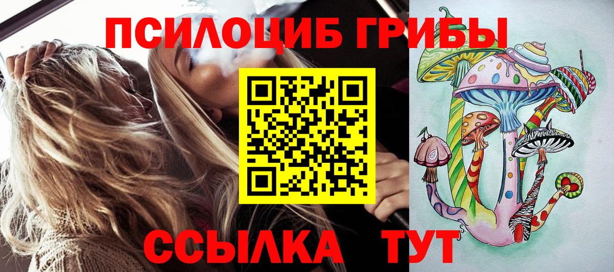 Псилоцибиновые грибы Psilocybe Гай