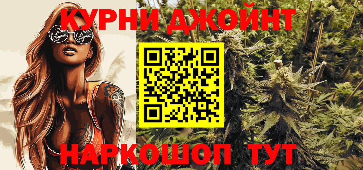 Бошки Шишки планчик Гай